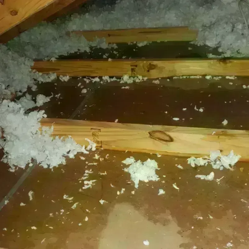 Attic Water Damage in Bryn Mawr, PA